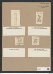 Melosira procura (Ehr.). (de-Toni-Nr.: Genus 213) Zeichnungen Sammlung Grunow Nr. 9273 (NHMW-BOT-W0379070)